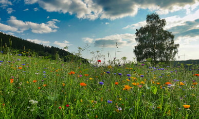 Pilgerwanderung am Freitag um 17.00 Uhr