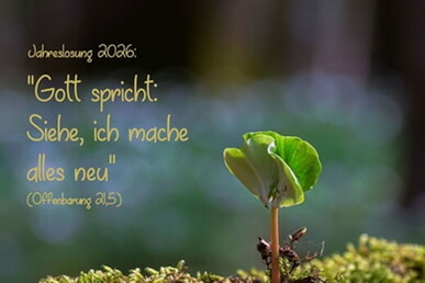 Der neue Gemeindebrief ist da