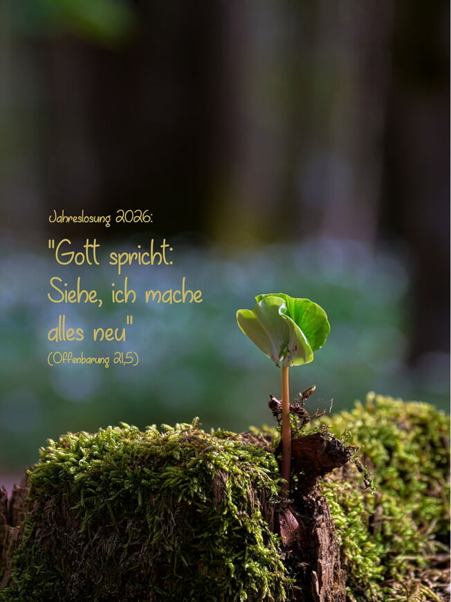 Guten-Abend-Kirche Thema: &bdquo;Gott spricht: Siehe, ich mache alles neu!&ldquo; (Jahreslosung 2026)