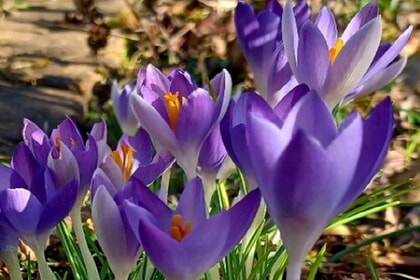 Oasentag f&uuml;r Frauen am 14. M&auml;rz