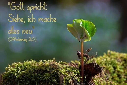 Aktueller Gemeindebrief